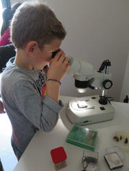 mercredi nature loupe