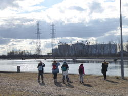 mercredi nature oiseaux hivernants